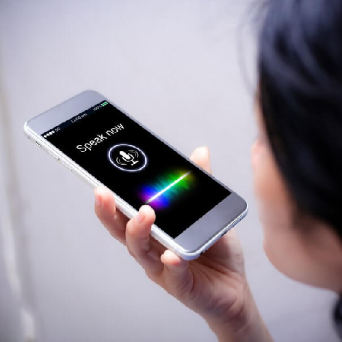 Voice Enabled Device